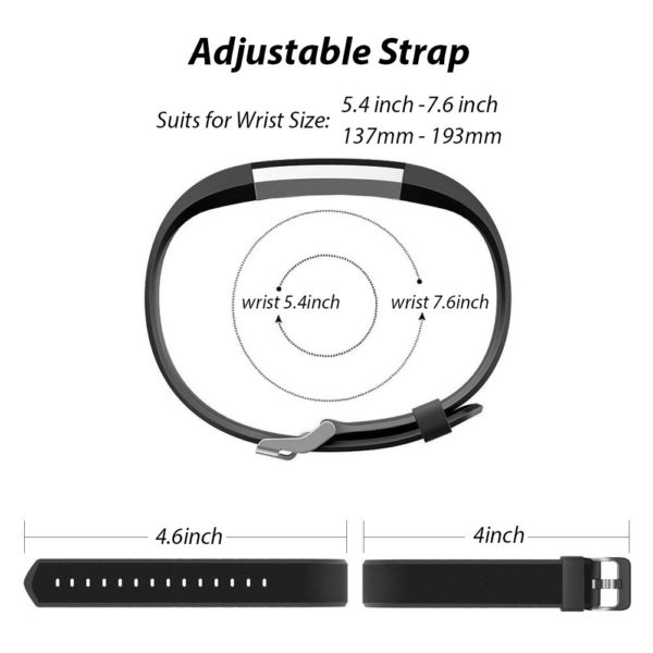 Purple Bands - Image 4